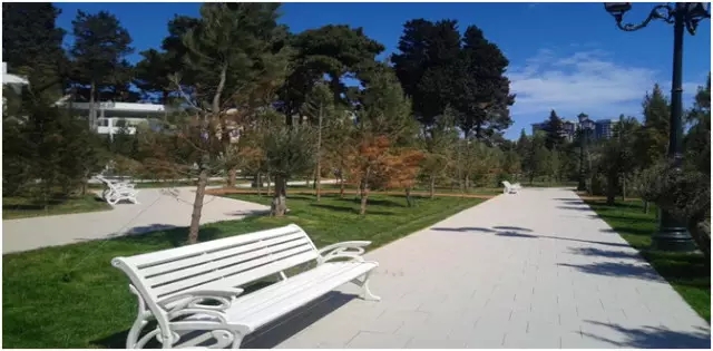 太阳城官网(中国)集团有限公司