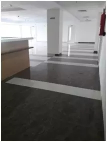 太阳城官网(中国)集团有限公司