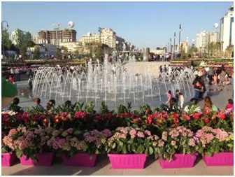 太阳城官网(中国)集团有限公司