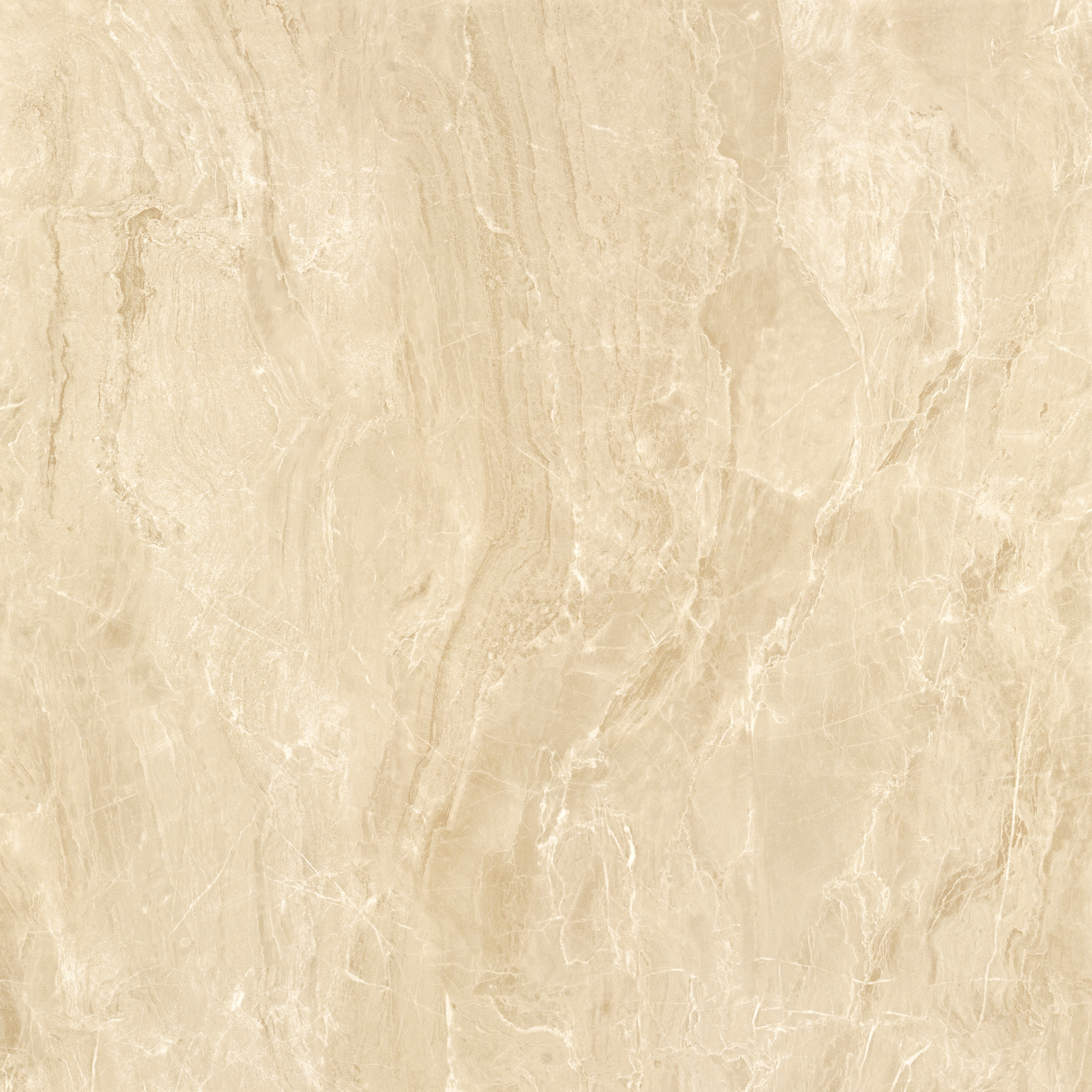 太阳城官网(中国)集团有限公司